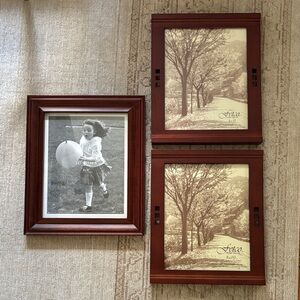 Sonoma and Fetco Rich Brown Picture Frame Trio